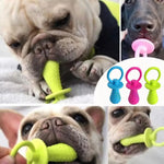 Dog teeth cleaning chew toy with textured rubber design