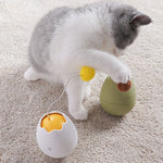 Interactive cat toy with ball and knot design