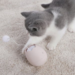 Engaging indoor cat toy for active play